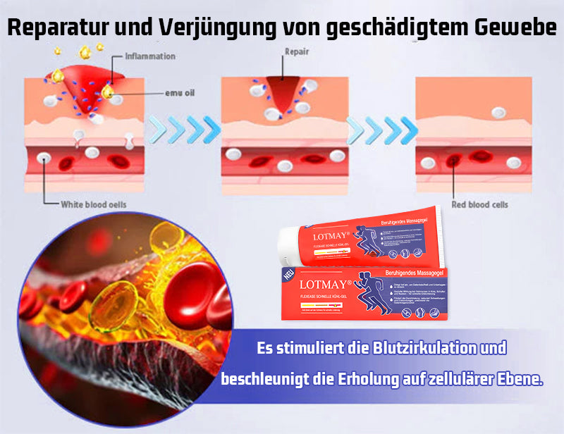 Offizieller Shop | LOTMAY® Kurkuma- & Emuöl Arthritis Beruhigendes Schmerz-Massagegel