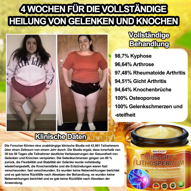 RAINDEW®🔥 BIENGIFT-LITHOSPERMUM Schmerzlindemde Creme zur Knochenheilung👑👑 (Speziell für ältere Erwachsene)