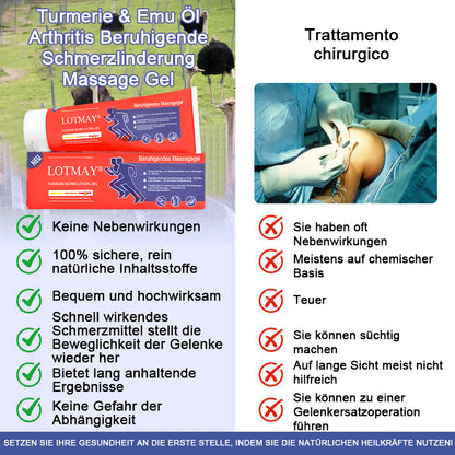 Offizieller Shop | LOTMAY® Kurkuma- & Emuöl Arthritis Beruhigendes Schmerz-Massagegel